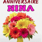 Joyeux Anniversaire Nina