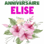 Joyeux Anniversaire Elise