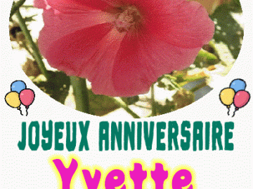 Joyeux anniversaire Yvette